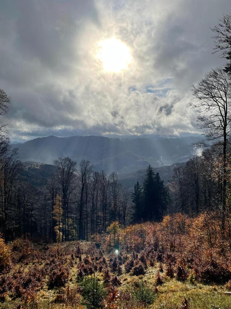 Le Spitzacker Gite Familial Au Calme Husseren-Wesserling Esterno foto