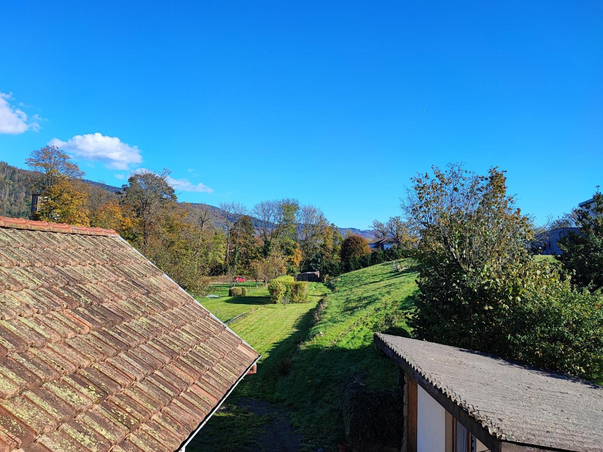 Le Spitzacker Gite Familial Au Calme Husseren-Wesserling Esterno foto