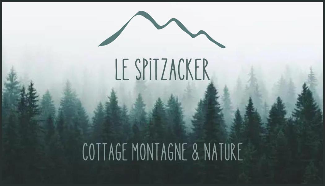 Le Spitzacker Gite Familial Au Calme Husseren-Wesserling Esterno foto